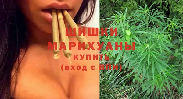 шишки Алзамай