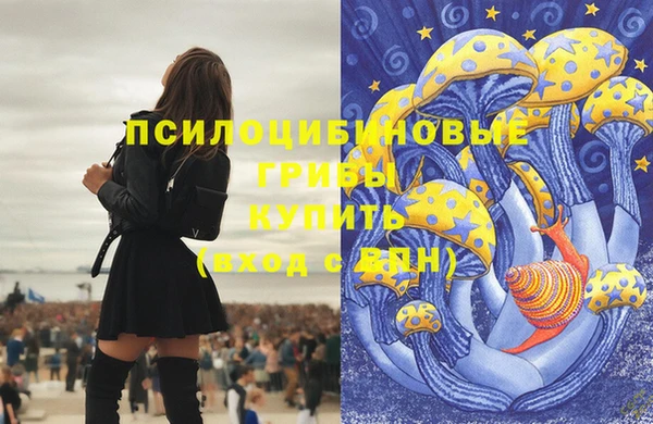 шишки Алзамай
