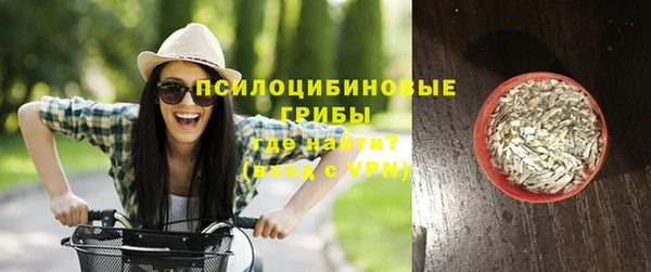 шишки Алзамай